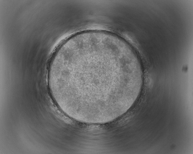 X0000114651408200912011101