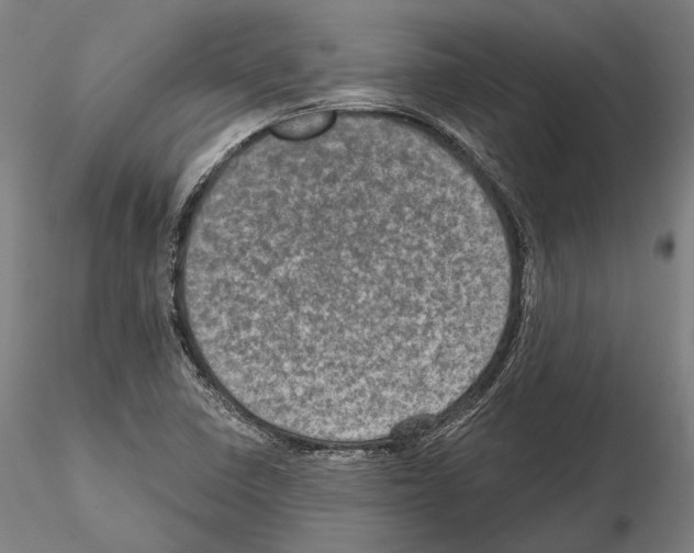 X0000114651410200912011101