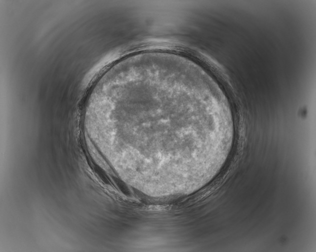 X0000114651411200912011101