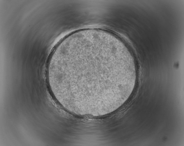 X0000114651412200912011101