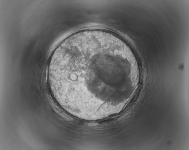 X0000114651413200912011101