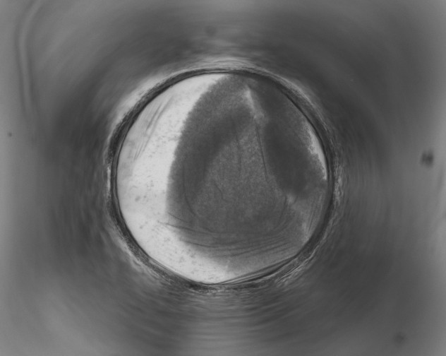 X0000114651414200912011101