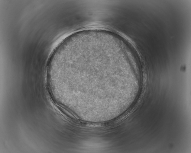 X0000114651415200912011101