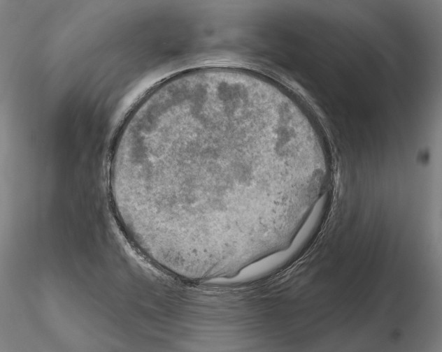 X0000114651416200912011101