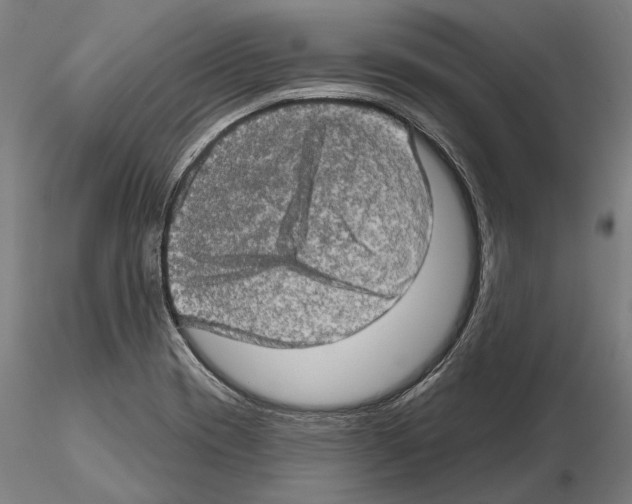 X0000114651417200912011101