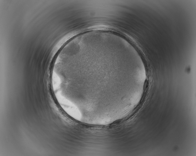 X0000114651418200912011101