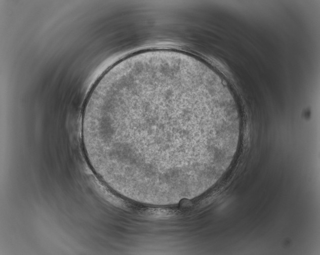 X0000114651420200912011101