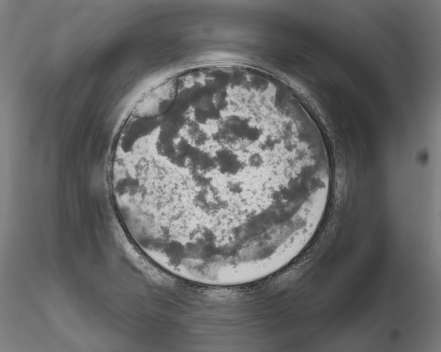 X0000114651421200912011101