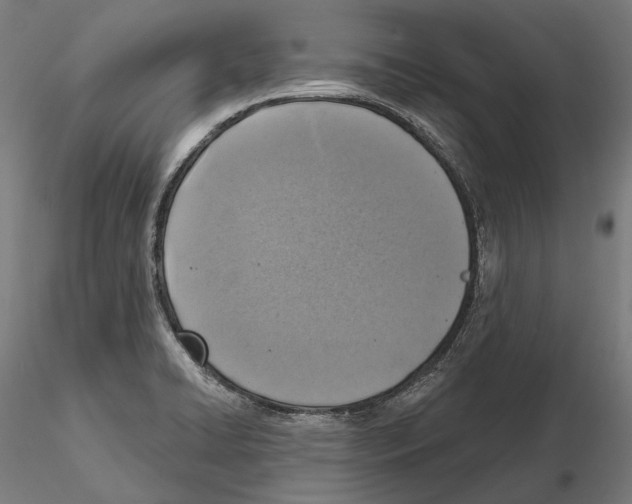 X0000114651422200912011101