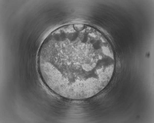 X0000114651423200912011101