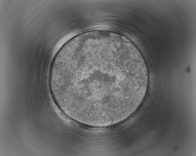 X0000114651426200912011101