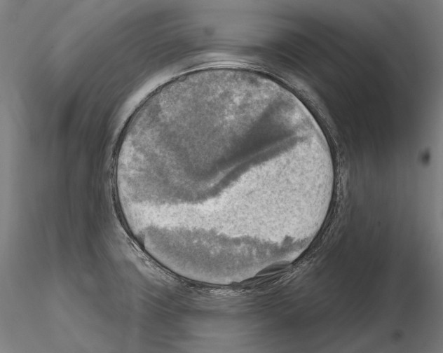 X0000114651427200912011101