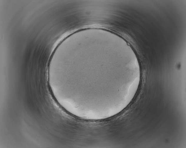 X0000114651428200912011101