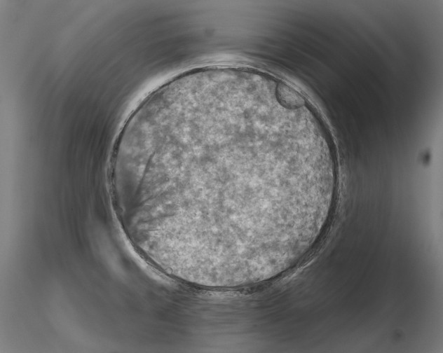 X0000114651429200912011101