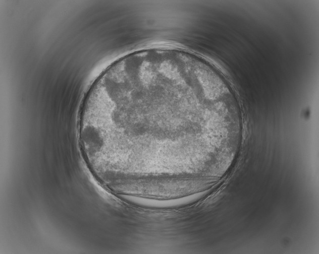 X0000114651430200912011101