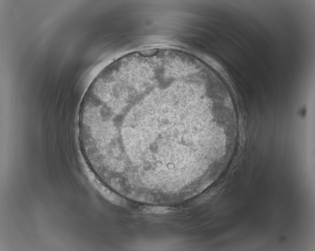 X0000114651431200912011101