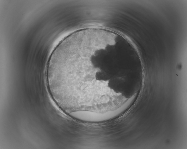 X0000114651432200912011102