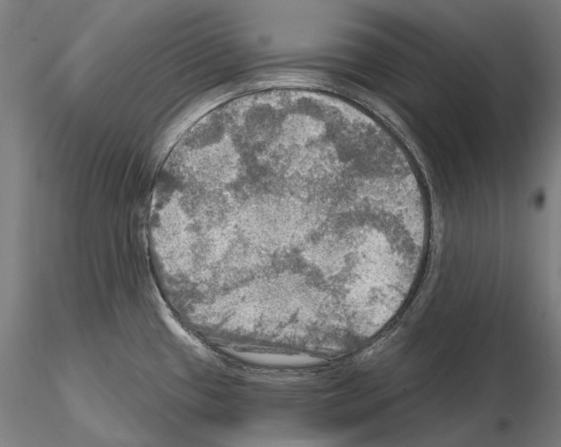 X0000114651433200912011102