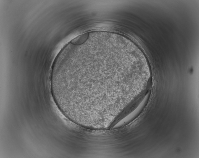 X0000114651434200912011102