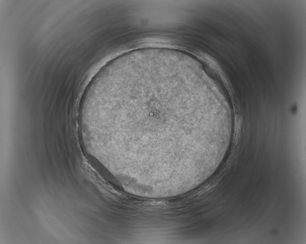 X0000114651435200912011102