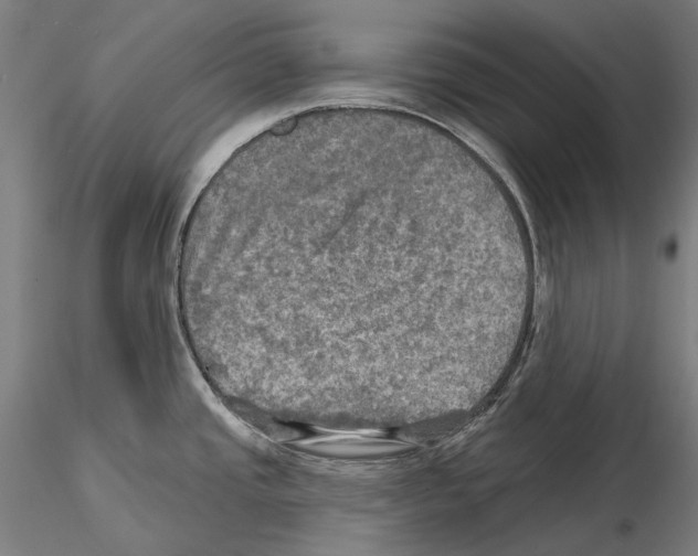 X0000114651437200912011102