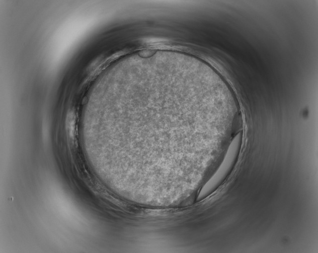 X0000114651438200912011102