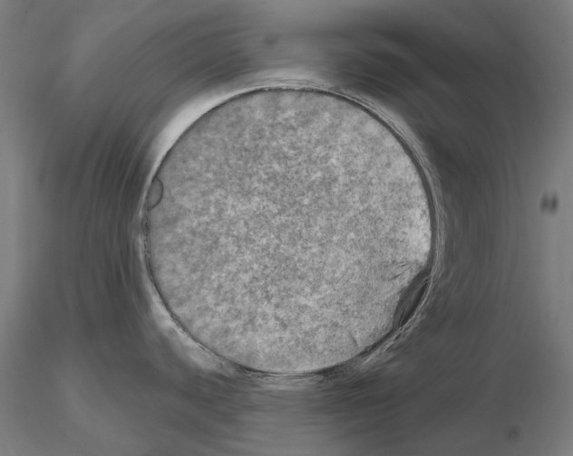 X0000114651440200912011102