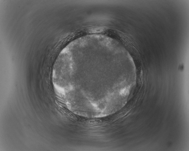 X0000114651441200912011101