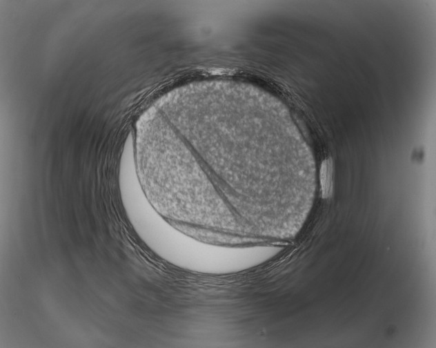 X0000114651443200912011101