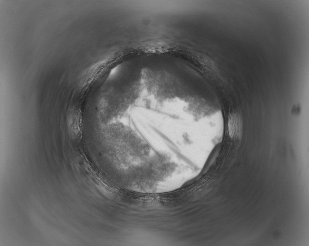 X0000114651444200912011101