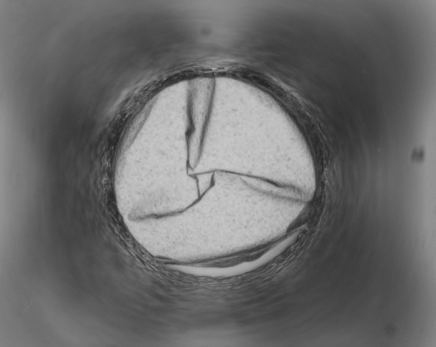 X0000114651447200912011101