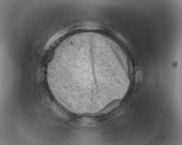 X0000114651448200912011101