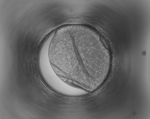 X0000114651449200912011101