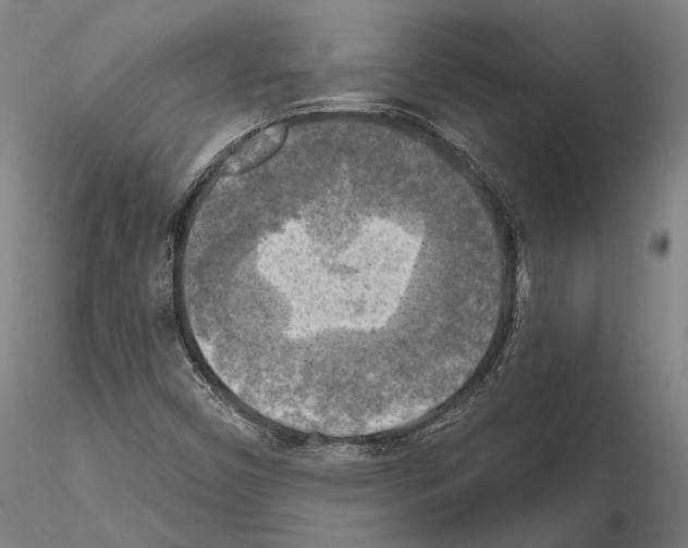 X0000114651450200912011101