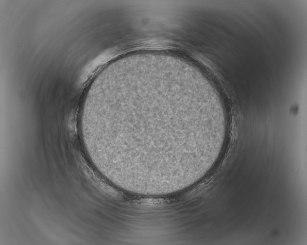 X0000114651451200912011101