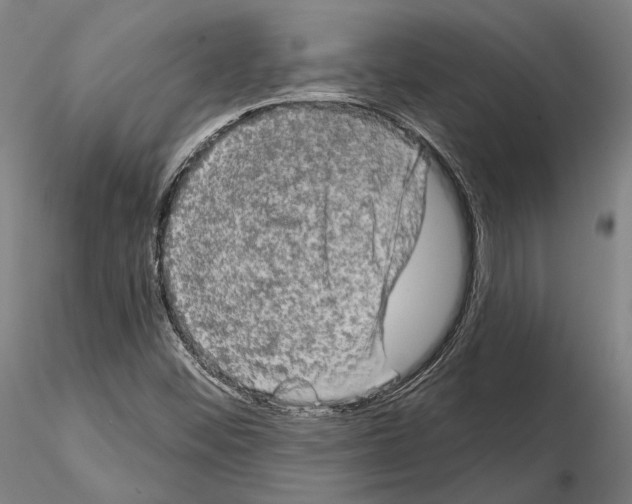 X0000114651452200912011101