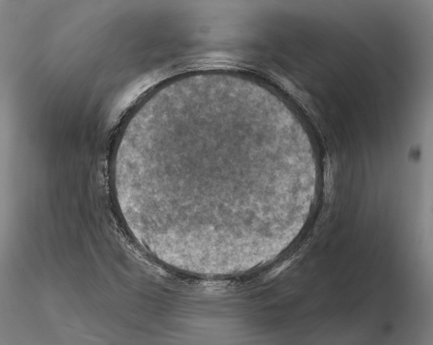 X0000114651453200912011101