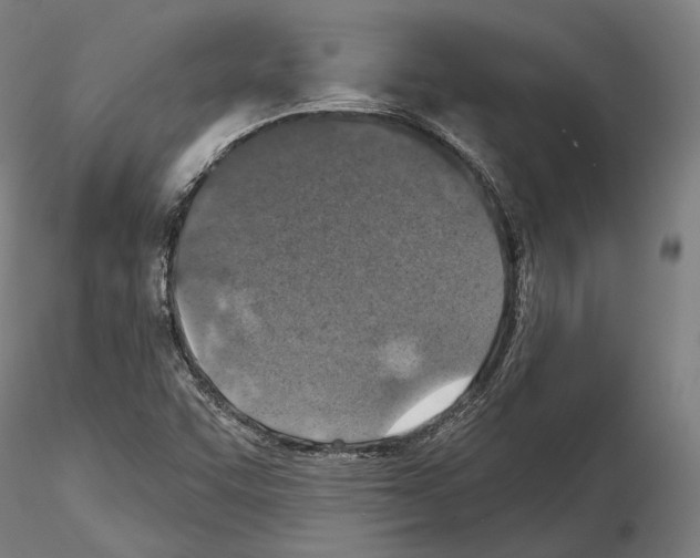 X0000114651455200912011101