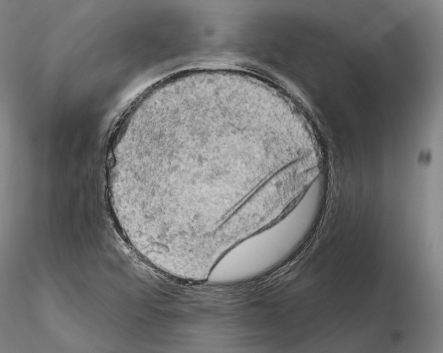 X0000114651456200912011101