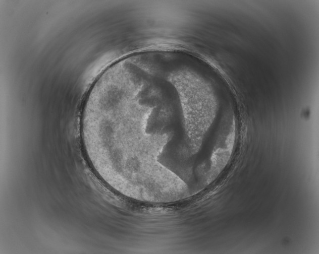 X0000114651459200912011101