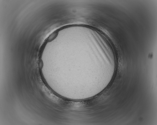 X0000114651460200912011101