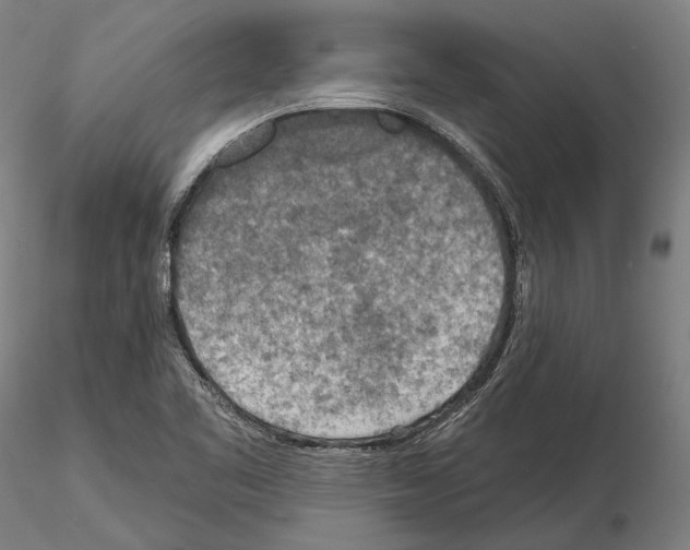 X0000114651461200912011101