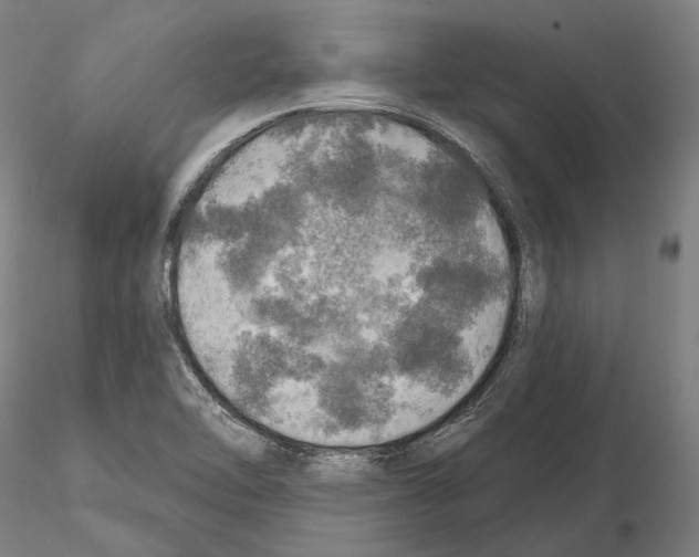 X0000114651462200912011101