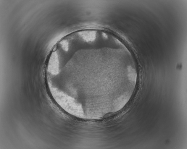 X0000114651463200912011101