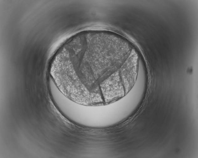 X0000114651464200912011101