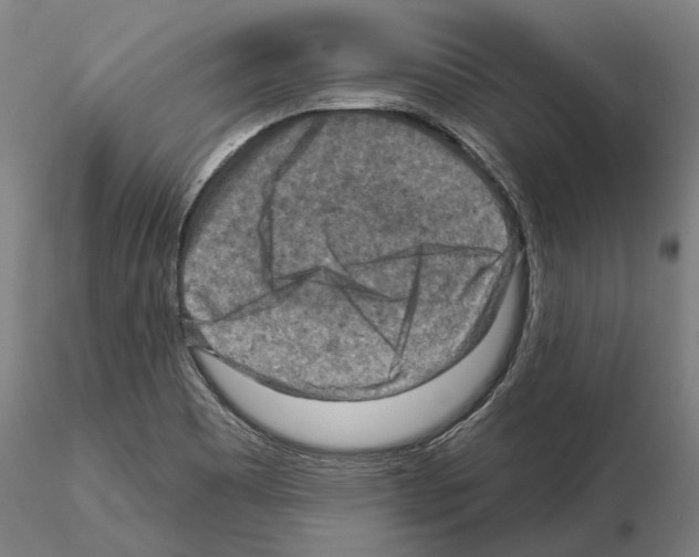 X0000114651465200912011101