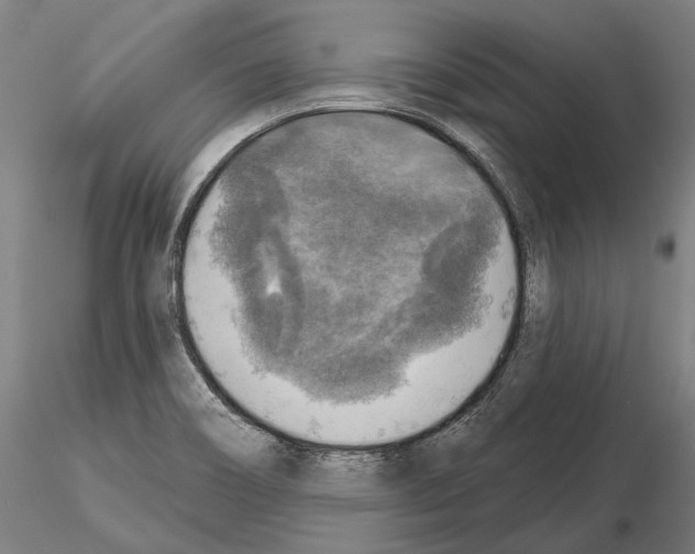 X0000114651466200912011101