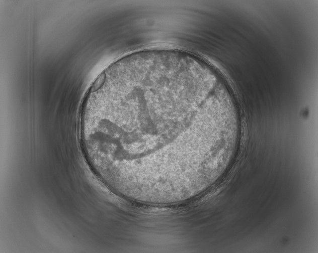 X0000114651467200912011101