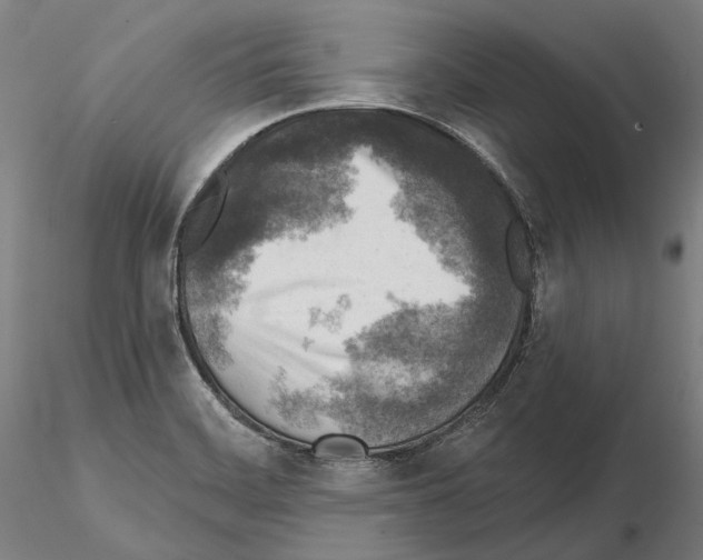 X0000114651468200912011101