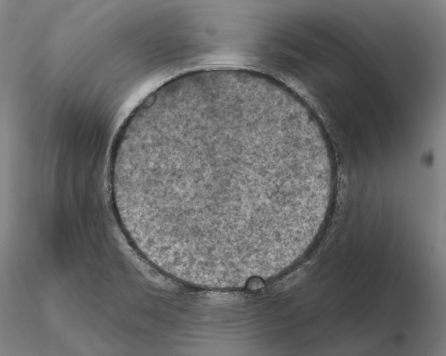 X0000114651469200912011101